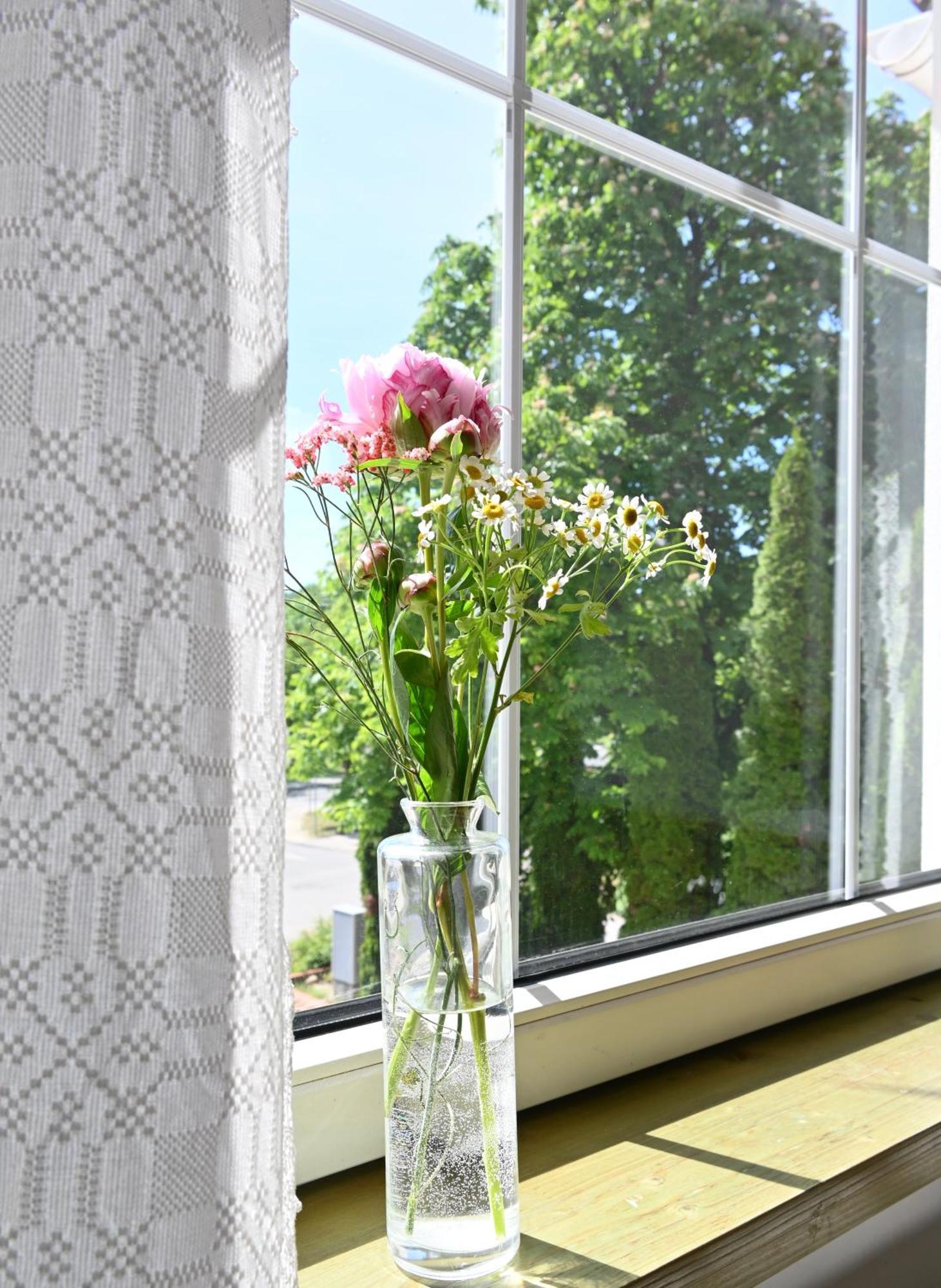 미슈콜츠 Szekely Kuria B&B 외부 사진